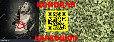 прущие крисы Обь