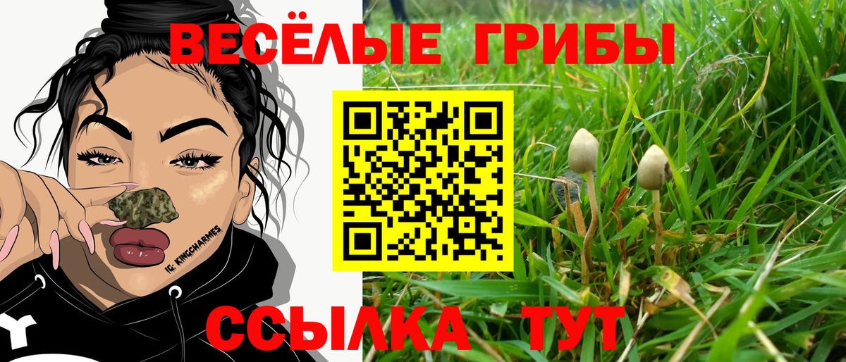 Галлюциногенные грибы Cubensis Биробиджан