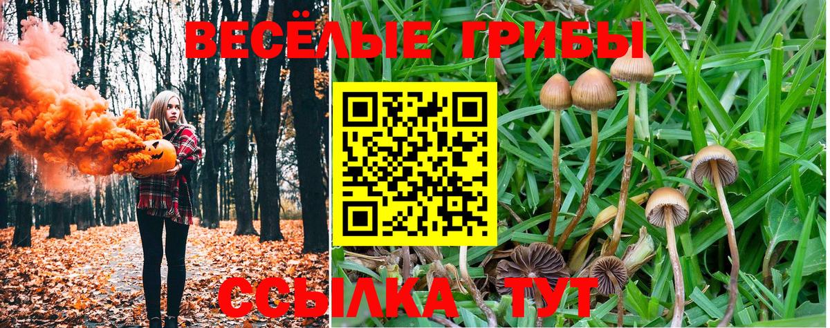 где найти   Вход с VPN  Псилоцибиновые грибы мухоморы  Биробиджан  Псилоцибиновые грибы MAGIC MUSHROOMS 