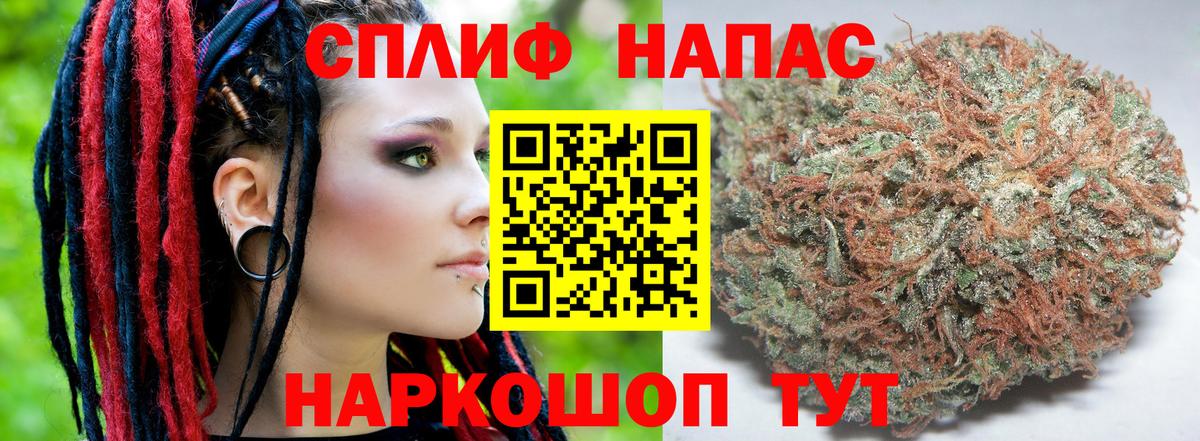 Биробиджан  Бошки марихуана White Widow  Бошки марихуана семена  Каннабис индика  Вход с VPN 